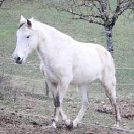Gite De Fontepaisse Saint-Jean-en-Royans Luaran gambar